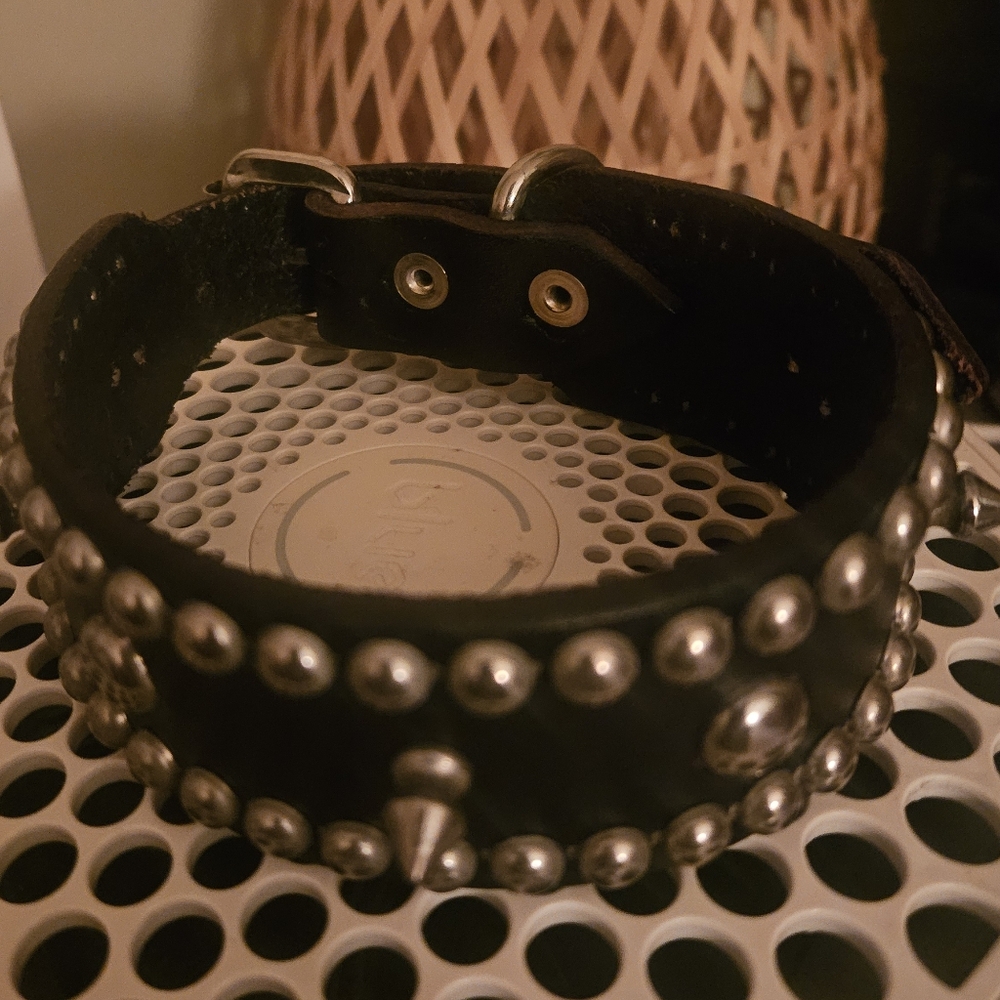 Studded/Spiked Small Black Leather Dog Collar - NWOT